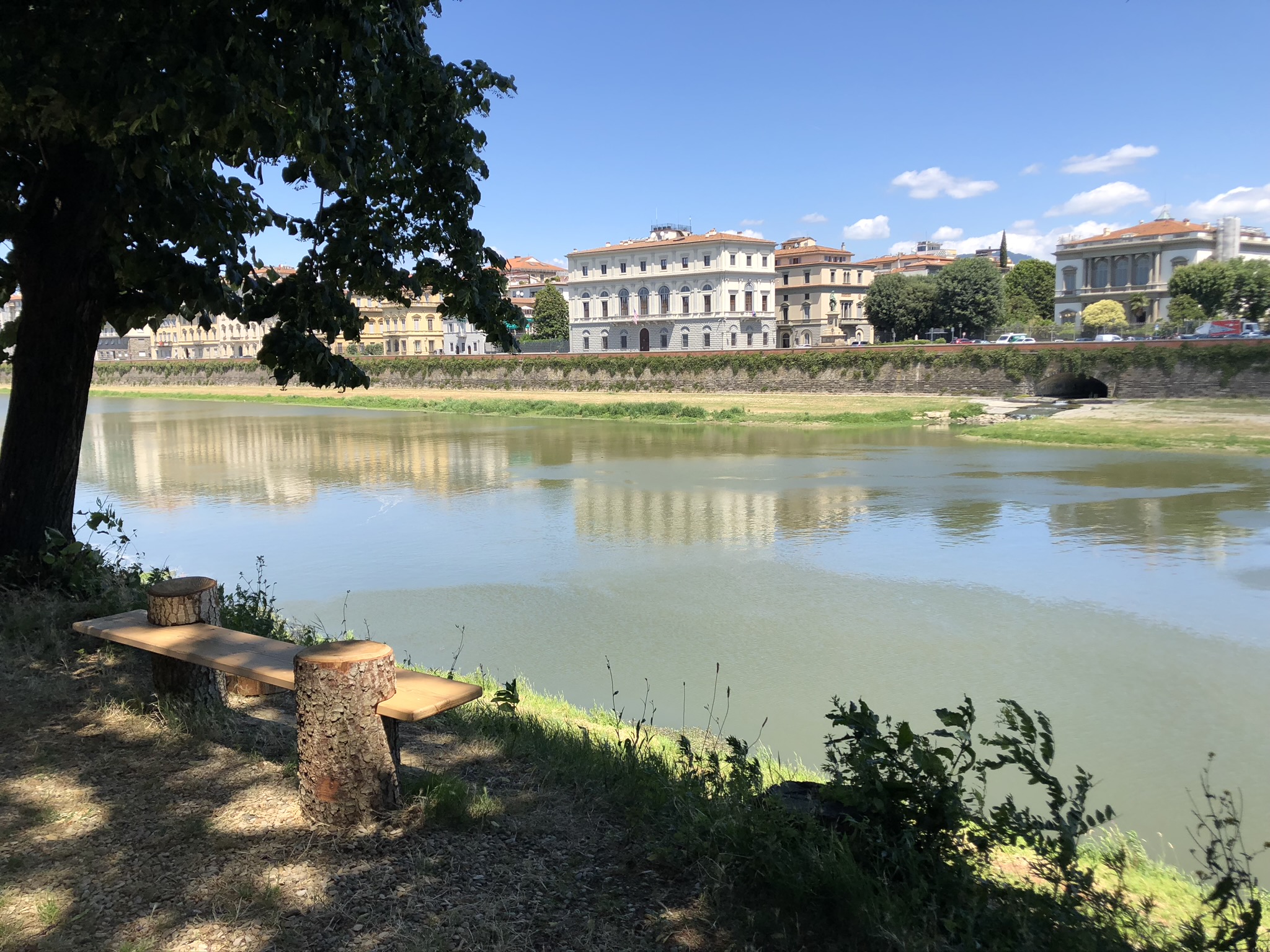 The Arno in daylight